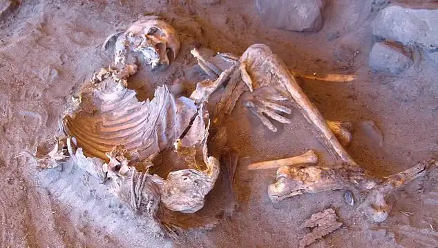 İnsanlığın Soy Ağacını Değiştiren Yeni Mumya Keşfi