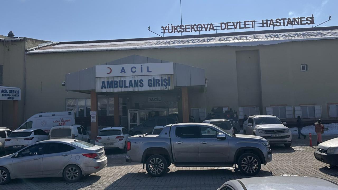 Hakkari'de saldırgan köpek faciası