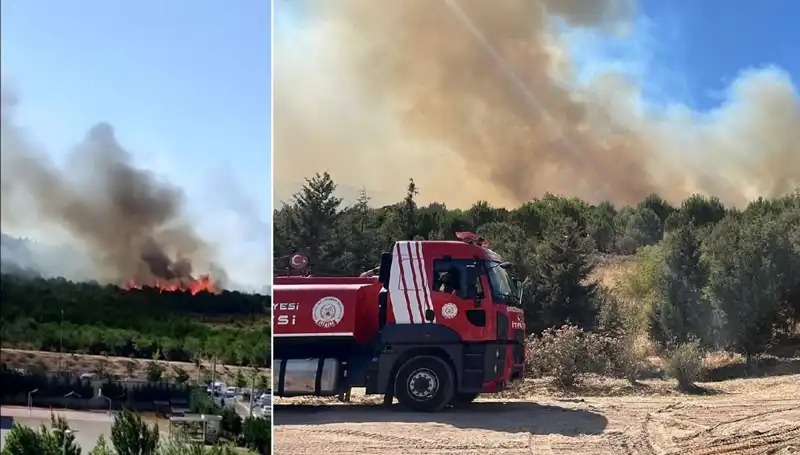 Gebze’de Orman Yangını: Ekipler Fırtına Gibi Mücadele Ediyor!