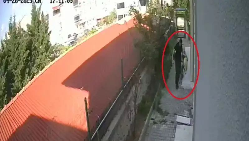 Tutuklanan Doktorun Köpekleri Parçalaması, Hayvanseverleri Şok Etti