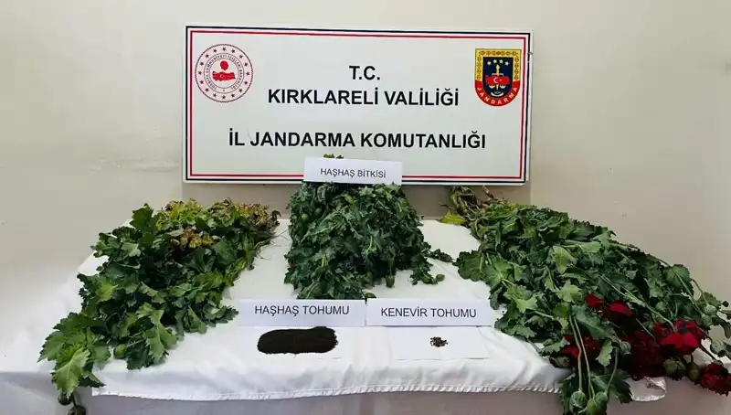 Kırklareli'nde Uyuşturucu Operasyonu: 8 Gözaltı, Şok Edici Detaylar Ortaya Çıktı!