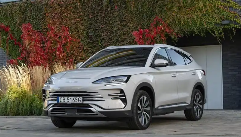 BYD'nin Büyüme Oranı Düşüşte, Geleceği İçin Endişeler Artıyor