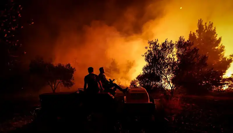 Çanakkale'de Orman Yangını Korkuttu: 785 Kişi Tahliye Edildi