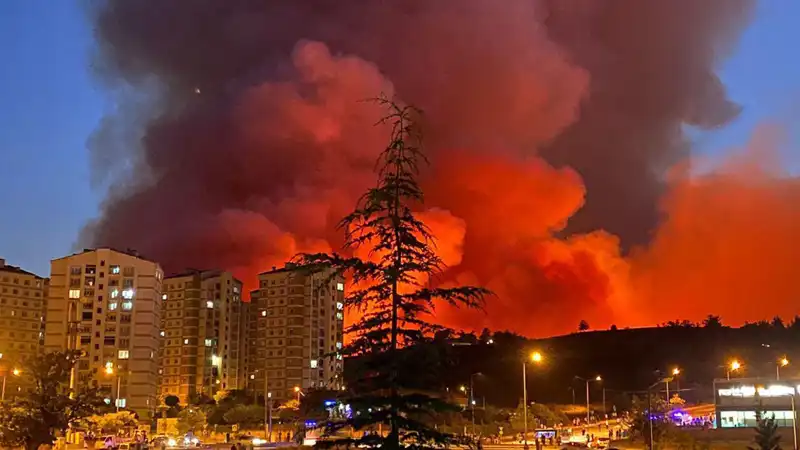 Bursa'da Yaygınlaşan Yangınlar: Neden ve Sonuçları Üzerine Detaylar