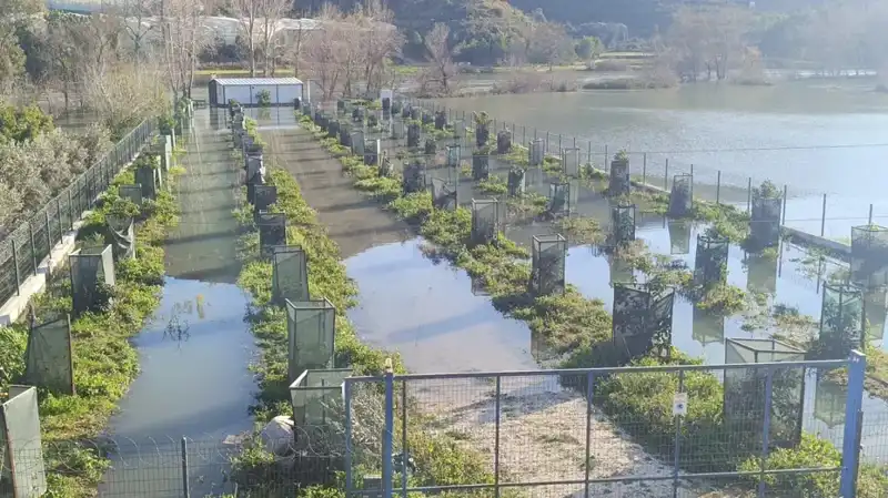 Irmak Taştı, Otoyol Şantiyesi Sular Altında Kaldı – Yerel Halk Endişeli