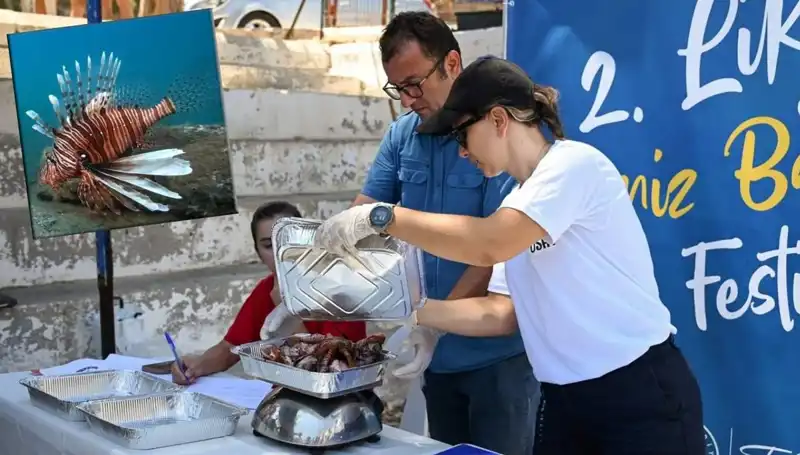 Antalya'da İstilacı Aslan Balığı Avlama Yarışması: Ekosistem İçin Mücadele Başlıyor!