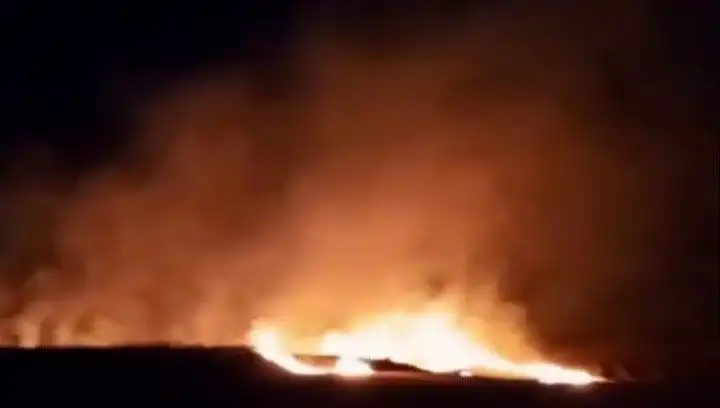 Tekirdağ'da Facia: 20 Dekar Buğday Ekili Alan Alevlere Yenik Düştü