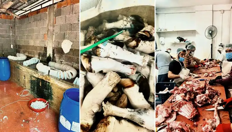 Adana'da Paça İhaleleri: Yasa Dışı Ürünlere El Konuldu!