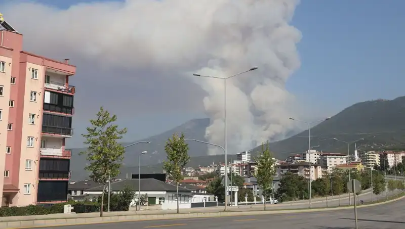 Denizli'nin Orman Yangınında Şok Gelişme: Bir Gözaltı!