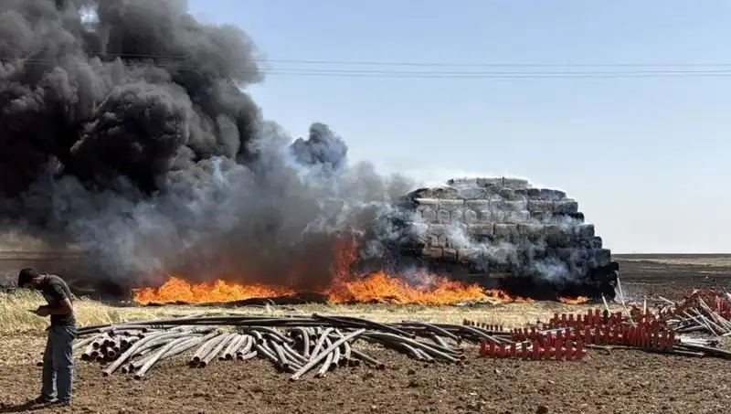 Mardin’de Korkutan Anız Yangını: Yangın Kontrol Altına Alındı mı?