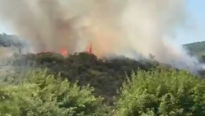 İstanbul’da Orman Yangını: Ülkede Panik Yaratan Tahliyeler ve Son Gelişmeler