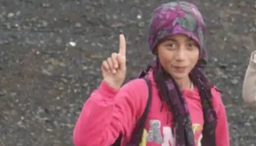 Hayat Kurtaran Şakalar: Göletteki Tehlikeli Eğlence ve Sonuçları