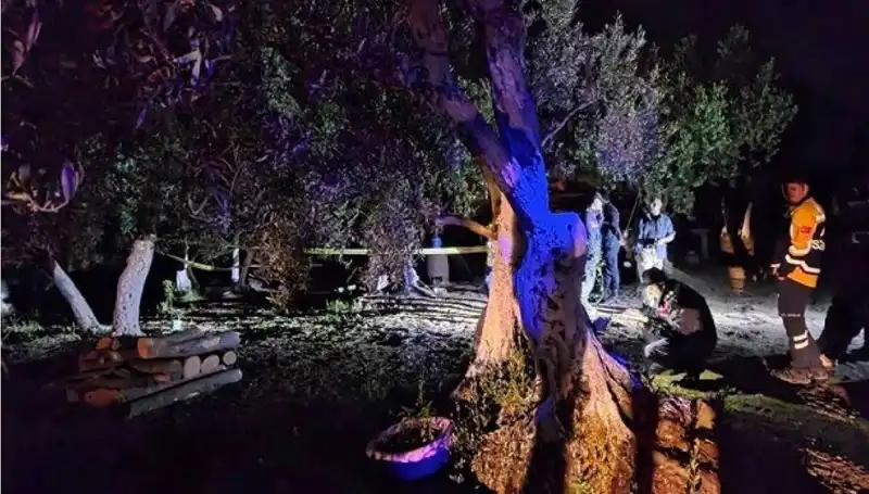 Çiftlikte Baltalı Vahşet: Gözaltına Alınan Şüpheli Şok Etti
